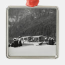 Search for bavaria ornaments Lake