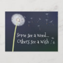Search for dandelion plant postcards Flora