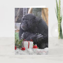 Search for blank christmas cards Snowing