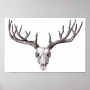 Search for deer skull posters Animals
