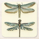 Search for dragonflies coasters Dragonfly