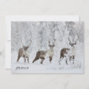 Search for migrator cards Caribou