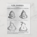 Recherche de citoyen cartes postales Français