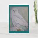 Recherche de dévastez cartes postales Hibou