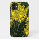 Search for yellow daffodil iphone cases Narcissus