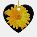 Search for gerbera daisy ornaments Floral