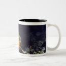 Search for sea anemone mugs Underwater