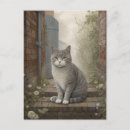 Recherche de chat de rue cartes postales Animal