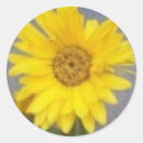 Search for gerber stickers Flower