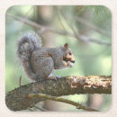 Search for lunch coasters Animal