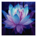 Recherche de de carré parfait posters Rose
