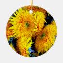 Search for sunflowers ornaments Plant