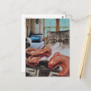 Recherche de collage chat cartes postales Félin