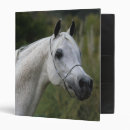 Search for arab binders Horse