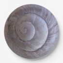 Search for snail shell White