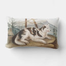 Search for hare pillows Mammal