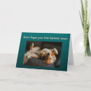 Search for dog get well cards Pets