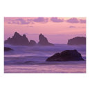 Search for joe stack Ocean