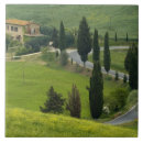 Search for siena tiles Sergio pitamitz