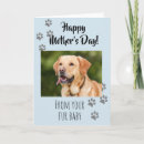 Search for mothers day fur babies Cat