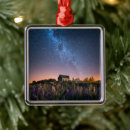 Search for new zealand ornaments Flower