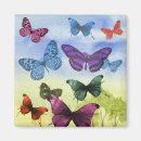 Search for fade magnets Colourful