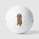 Search for doodle golf equipment Dog