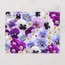 Search for pansy flower postcards Purple