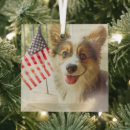 Search for pembroke welsh corgi ornaments Canine