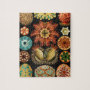 Search for marine life puzzles Ernst haeckel
