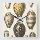 Recherche de bord de mer horloges Coquille