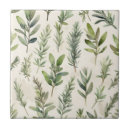 Recherche de romarin carreaux Aquarelle