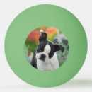 Recherche de chiot balles ping pong Chien