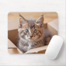 Search for in box mousepads Cat