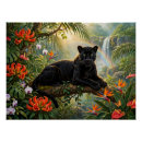 Search for black panther posters Leopard