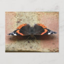 Search for admiration postcards Animals