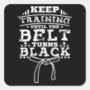 Search for aikido martial arts stickers Taekwondo