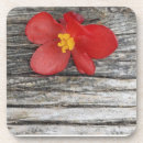 Search for red flower coasters Decorative