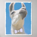 Search for bow tie posters Animals