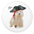 Recherche de west highland white terrier Animaux