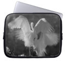 Search for great egret electronics Florida