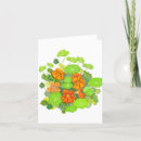 Recherche de capucine cartes postales Blanc