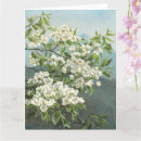 Search for pear tree cards Nature