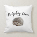 Search for hedgehogs pillows Kawaii