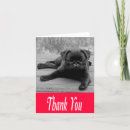 Search for black pug cards Dog