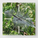 Search for white feather clocks Background