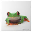 Search for blood red tiles Reptiles