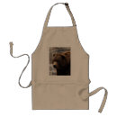 Recherche de ours gris tabliers Animaux