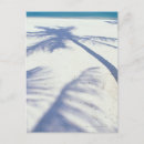 Search for shadows postcards Outdoors