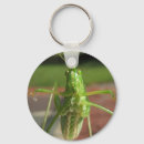 Search for bug pictures keychains Insects